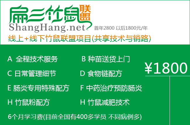 竹鼠养殖联盟 竹鼠养殖联盟