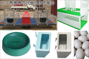 长汀养鸡养猪设备