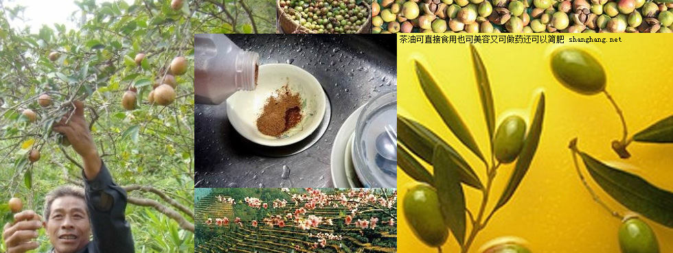 潡ҩüֵ