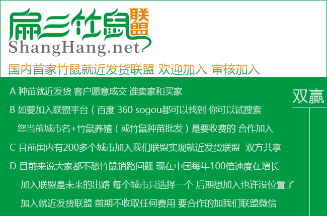 扁三竹鼠联盟 扁三竹鼠联盟