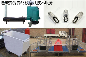 连城养猪养鸡设备