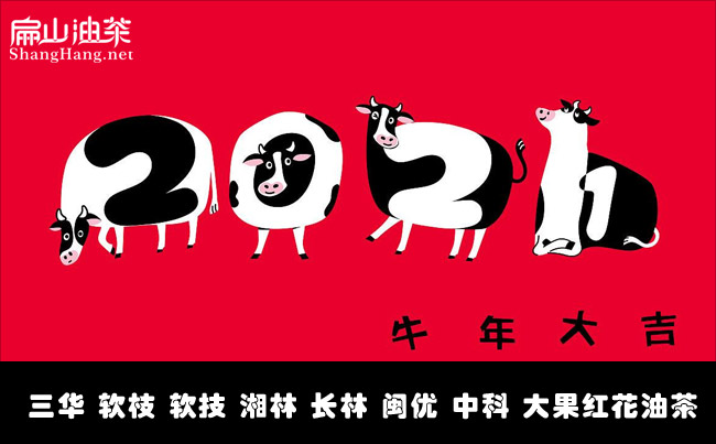 成都苗木批发 成都苗木批发