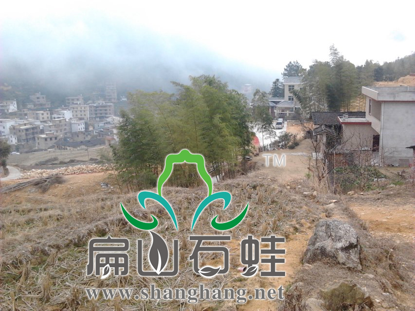 养殖石蛙技术难在石蛙场地? 养殖石蛙技术难在石蛙场地?