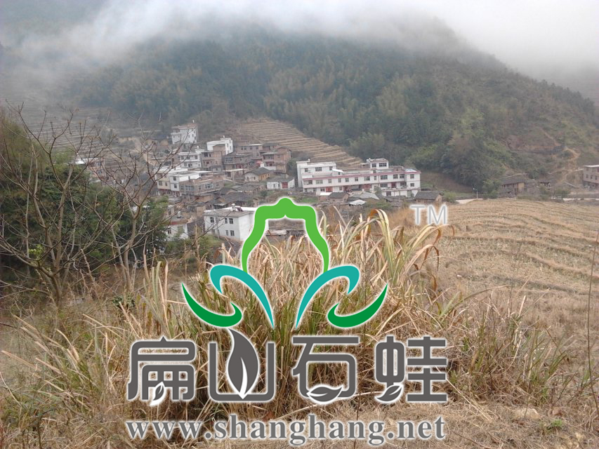 石蛙养殖场地规划最要注意的是什么问题? 石蛙养殖场地规划最要注意的是什么问题?