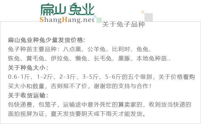 江西竹鼠养殖