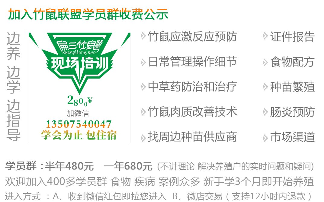 江苏竹鼠养殖现场培训