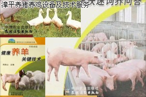 漳平养鸡养猪设备
